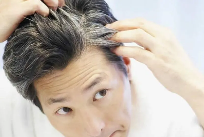 Rambut beruban